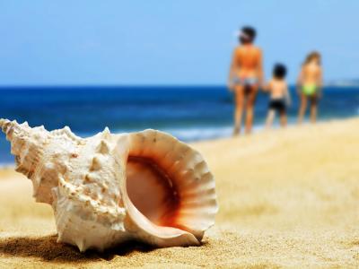hsuisse fr offre-septembre-hotel-pres-de-la-mer-a-milano-marittima-cervia 017