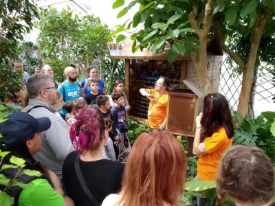 Gruppo di persone ascolta una guida in un giardino botanico.