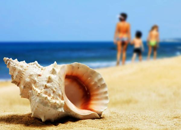 hsuisse fr offre-septembre-hotel-pres-de-la-mer-a-milano-marittima-cervia 012