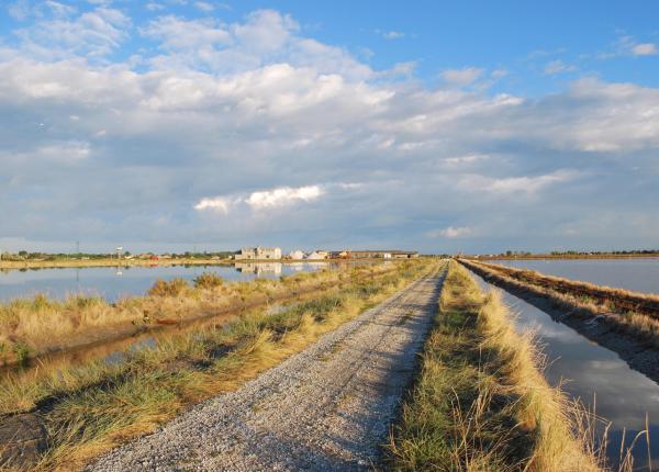 Route de terre entre les lacs salés sous un ciel nuageux.