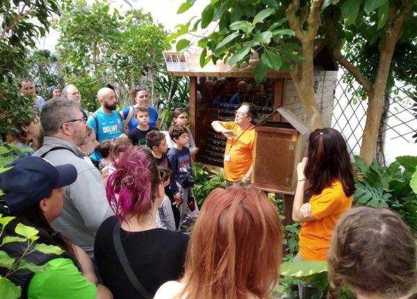 Gruppo di persone ascolta una guida in un giardino botanico.